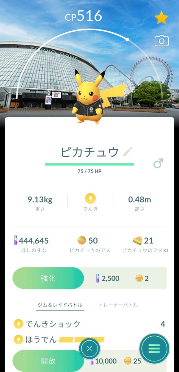 にゃんくま tweet media