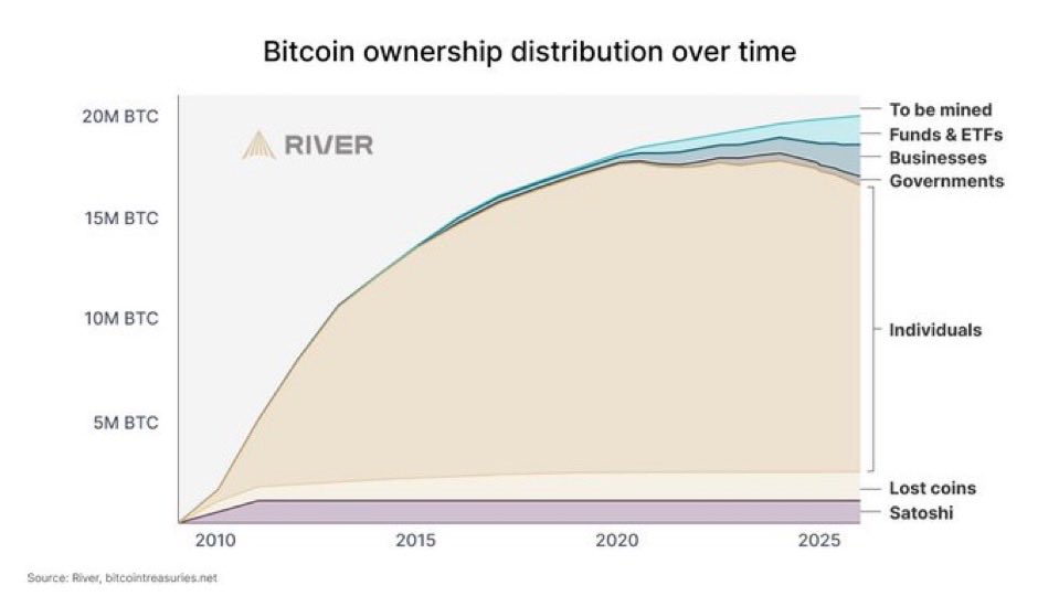 Bitcoin You Fools🇺🇸80iQ/13%r tweet media