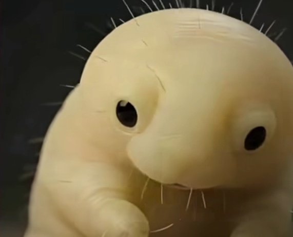 Tipini yirim twitinin konuğu
Demodex 
Bu minoş yüzümüzde sürekli bizimle yaşayan bir akar türü
 geceleri gezmeye çıkıyor kendisi

Yalnızlık pek mümkün değil gibi
 Demodexe  sarılıp bağrımıza basıyoruz

Yüzünüzü Domestosla yıkamaya kalkmayın he 😎