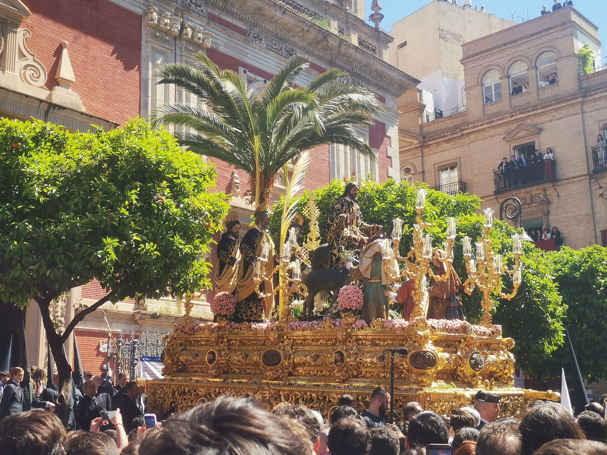 Trasera de Palio tweet media