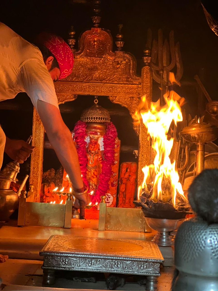 Tripti Singh 🇮🇳 tweet media