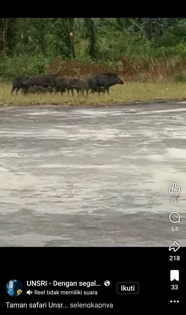 Xoxofee_ tweet media