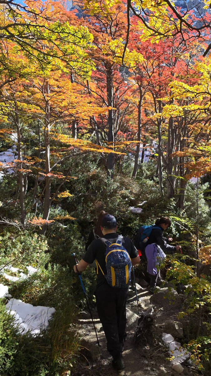 BB 💫 ,, บองแบงกี้ บีบี บี๊บบี๊บ tweet media