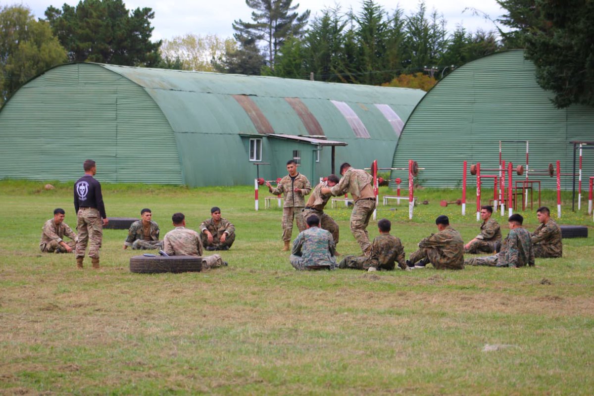 Ejército de Chile tweet media