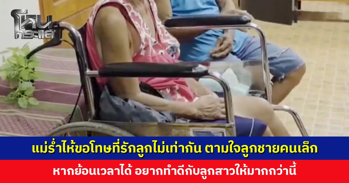 🎀🐰🌹🐻🐸🐶🐈⬛🐬 tweet media