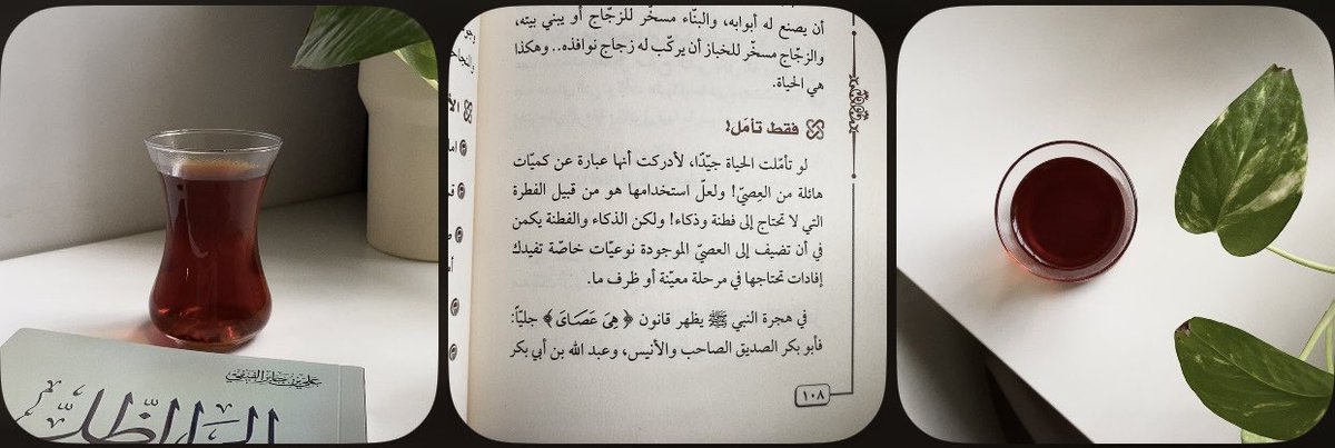 𝗆𝖺 tweet media