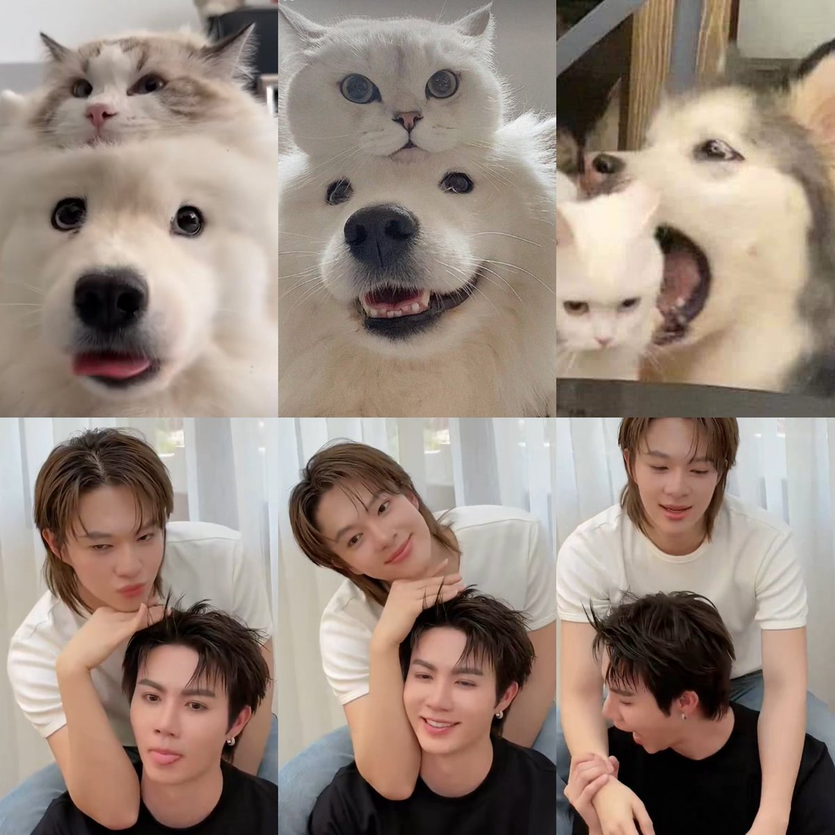 𝑡𝑡𝑖𝑐ℎ𝑎 ˖ ྀི ୨ৎ 🎀 tweet media