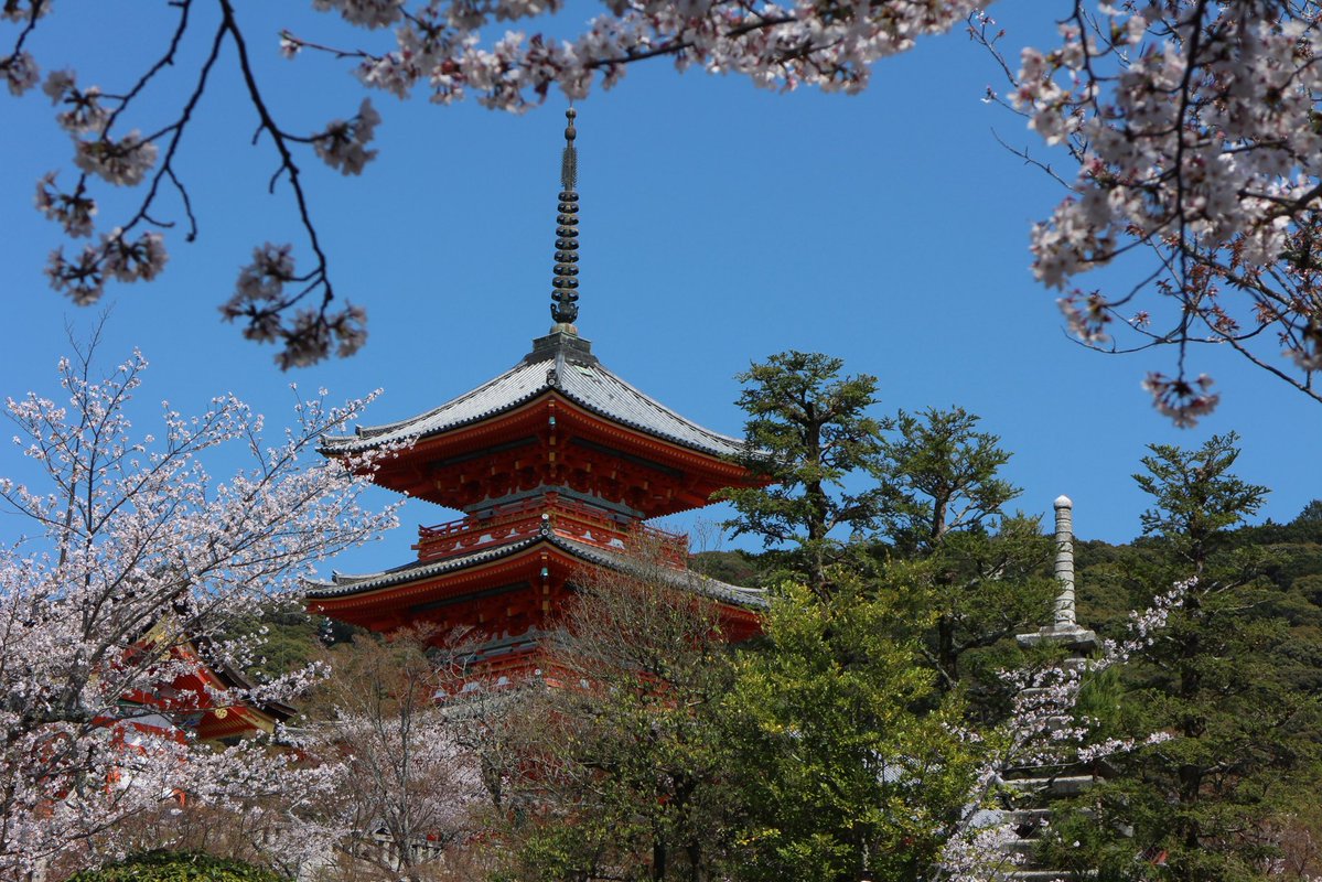 めるぼん tweet media