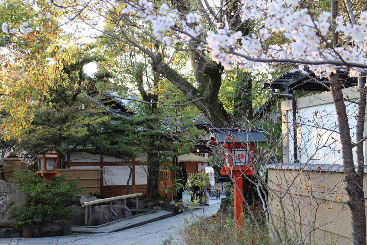 めるぼん tweet media