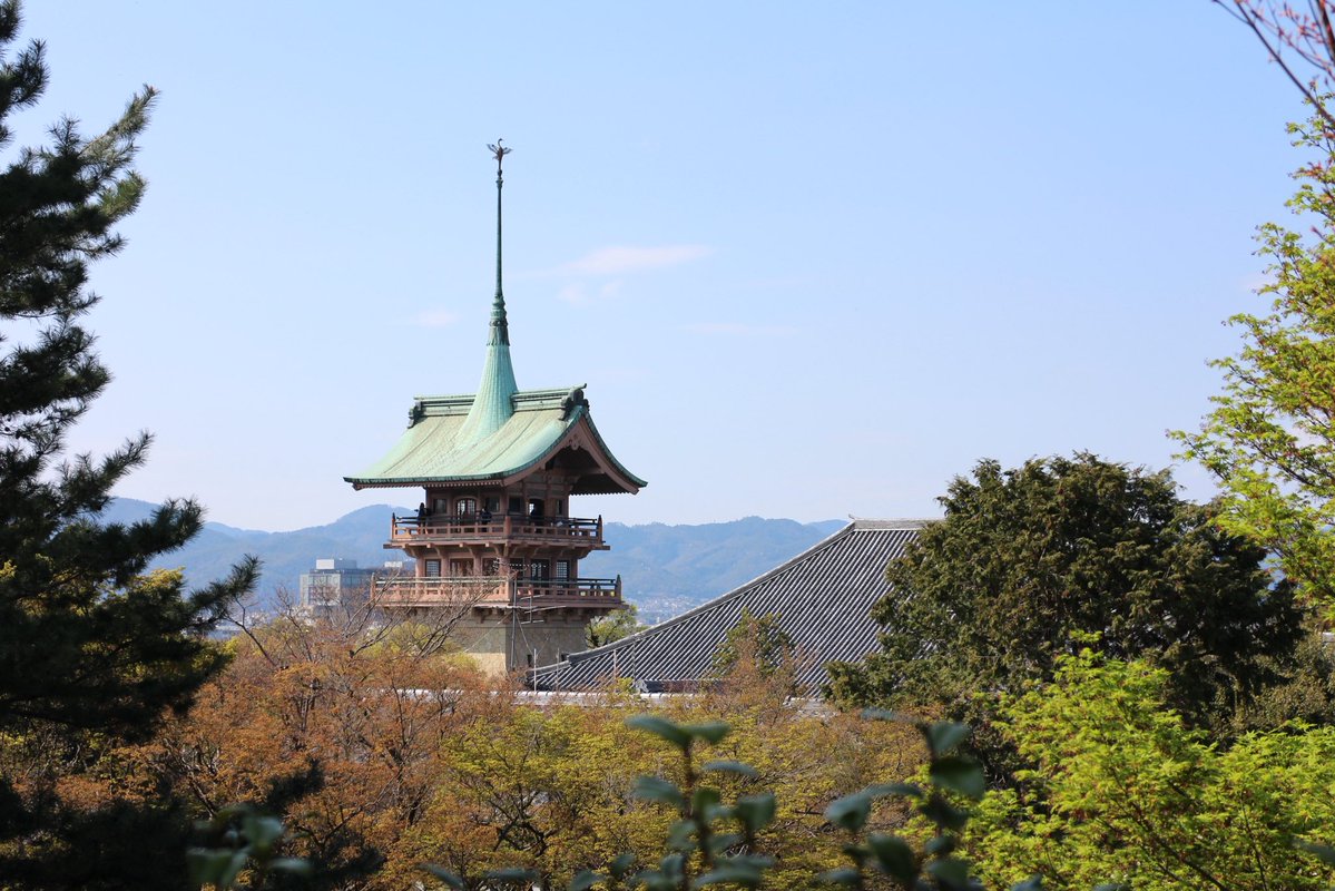 めるぼん tweet media