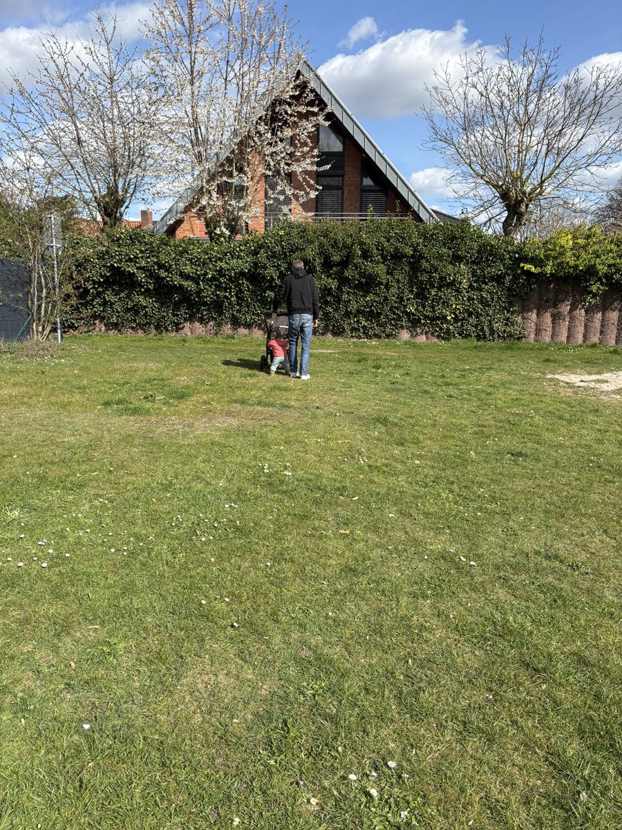 小野さん🇩🇪 tweet media