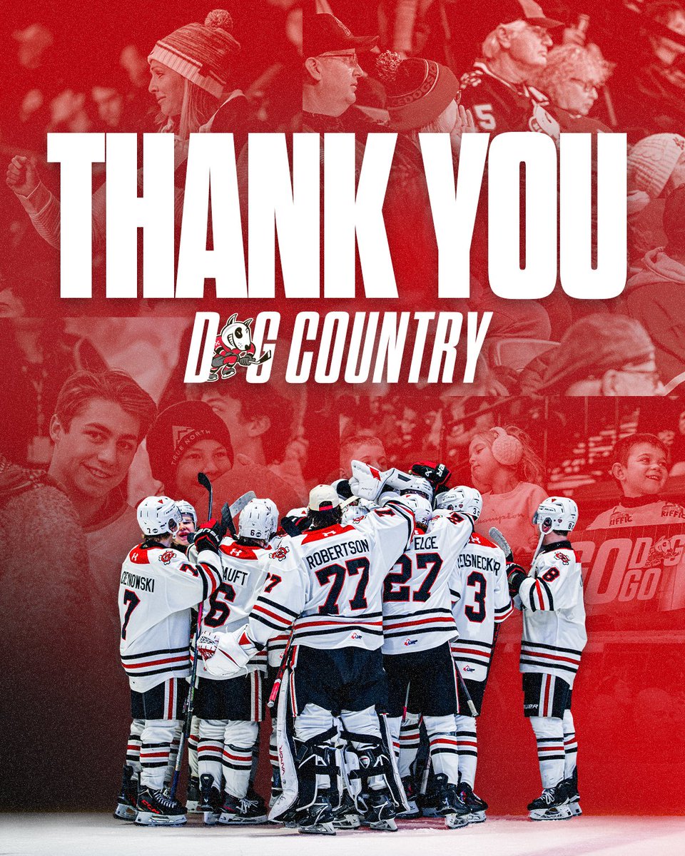 Niagara IceDogs tweet media