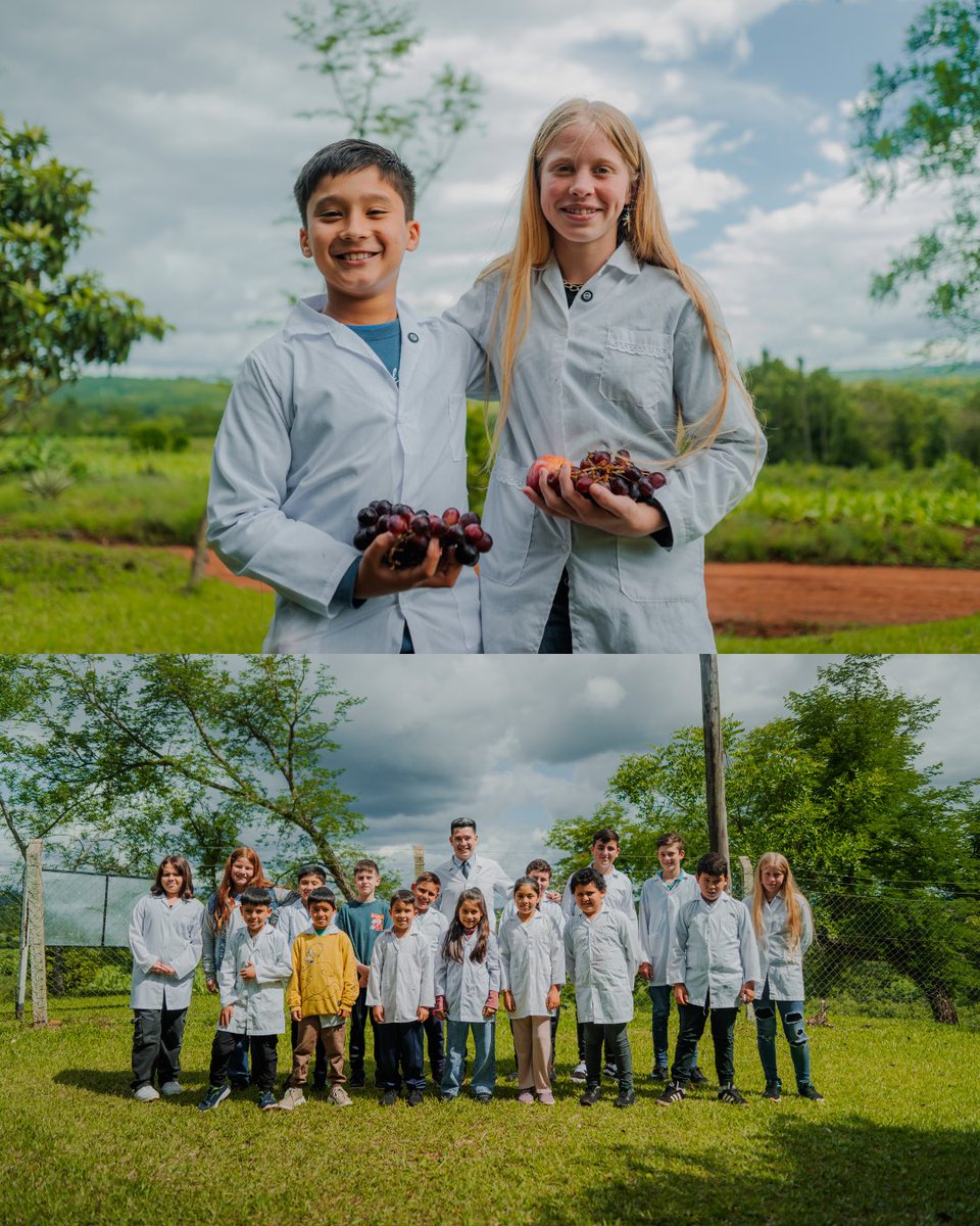 Educación Misiones tweet media