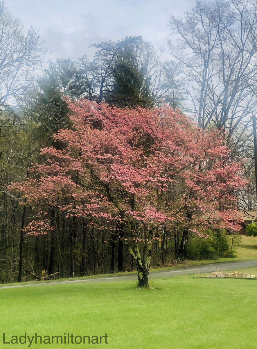 Ladyhamiltonart tweet media