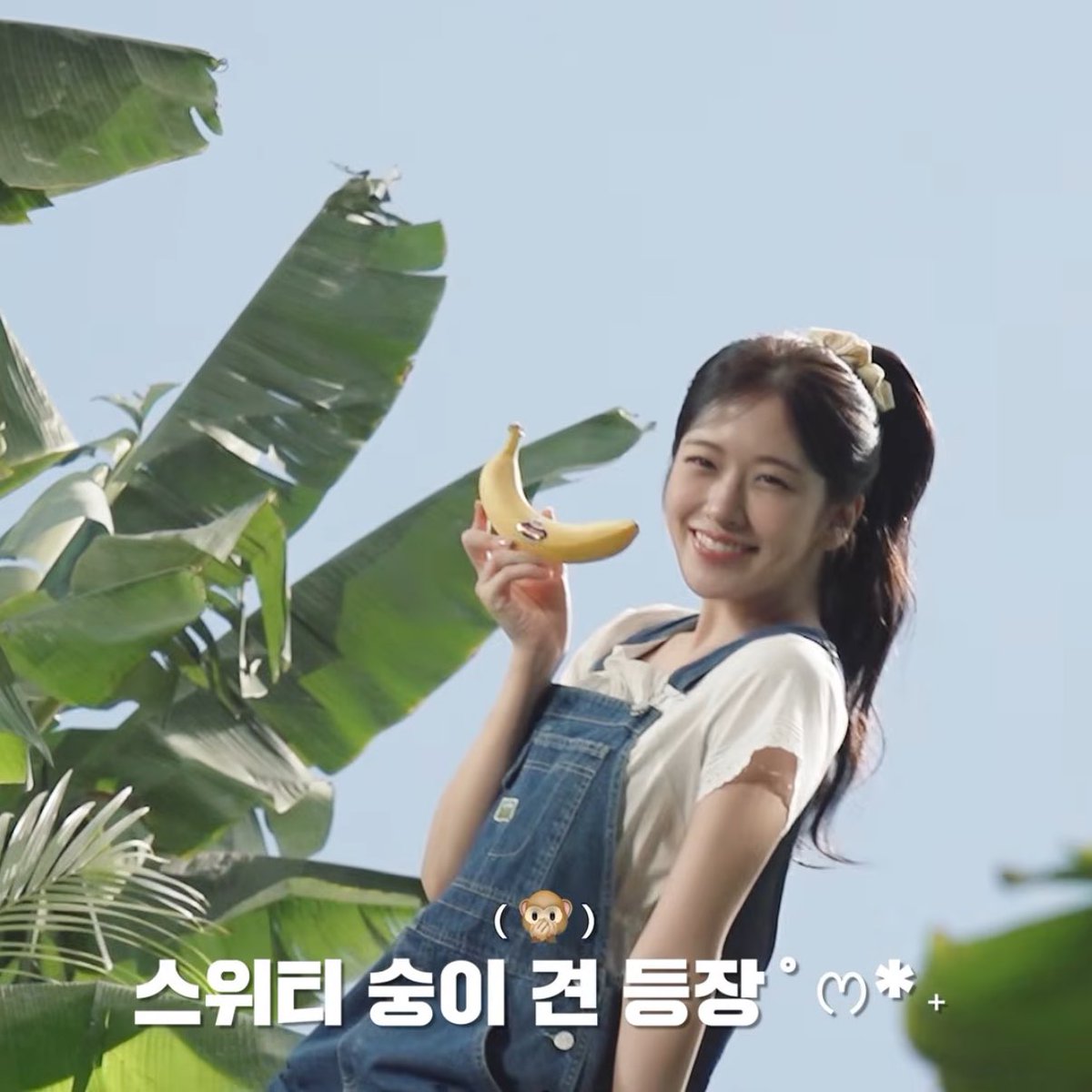 민무늬 tweet media