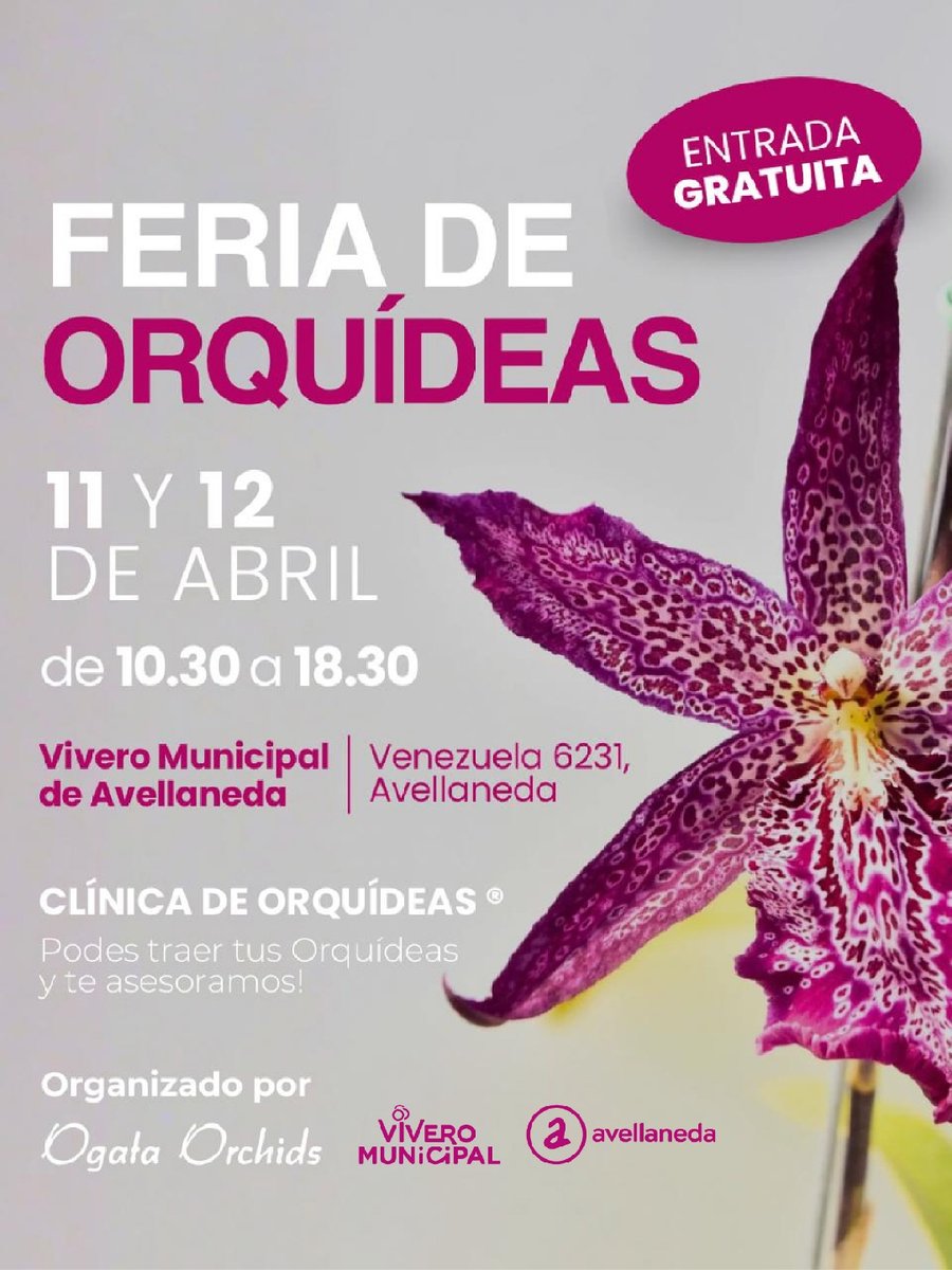 Municipio de Avellaneda tweet media