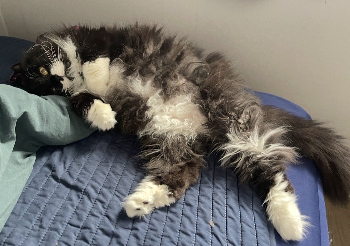 마포농수산쎈타 tweet media