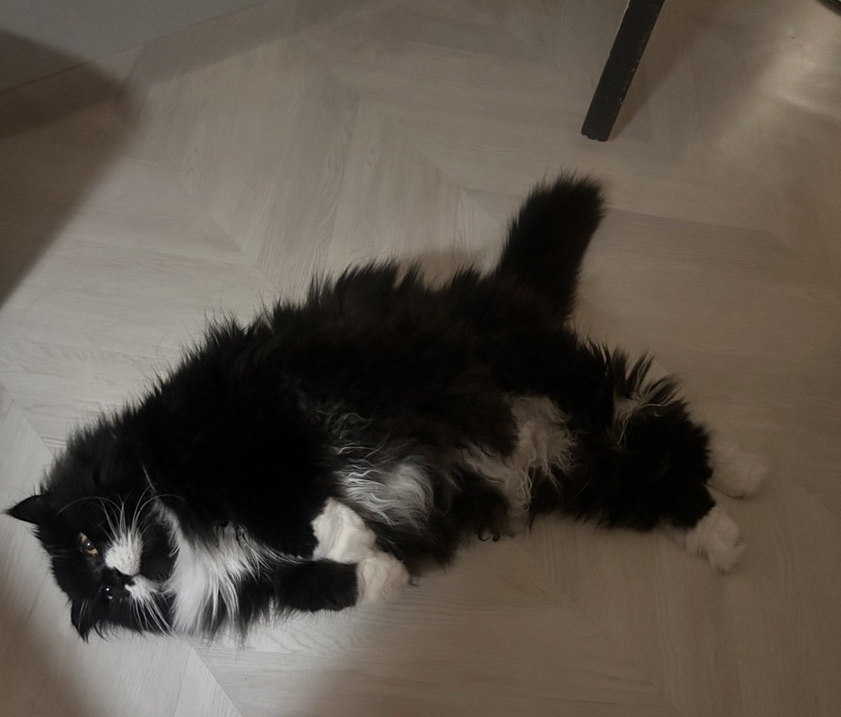 마포농수산쎈타 tweet media