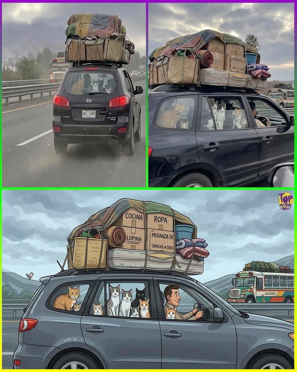 Se mudan, pero no dejan a nadie atrás.
Eso es amor de verdad, porque ellos ya son parte de la familia🫶🏻.