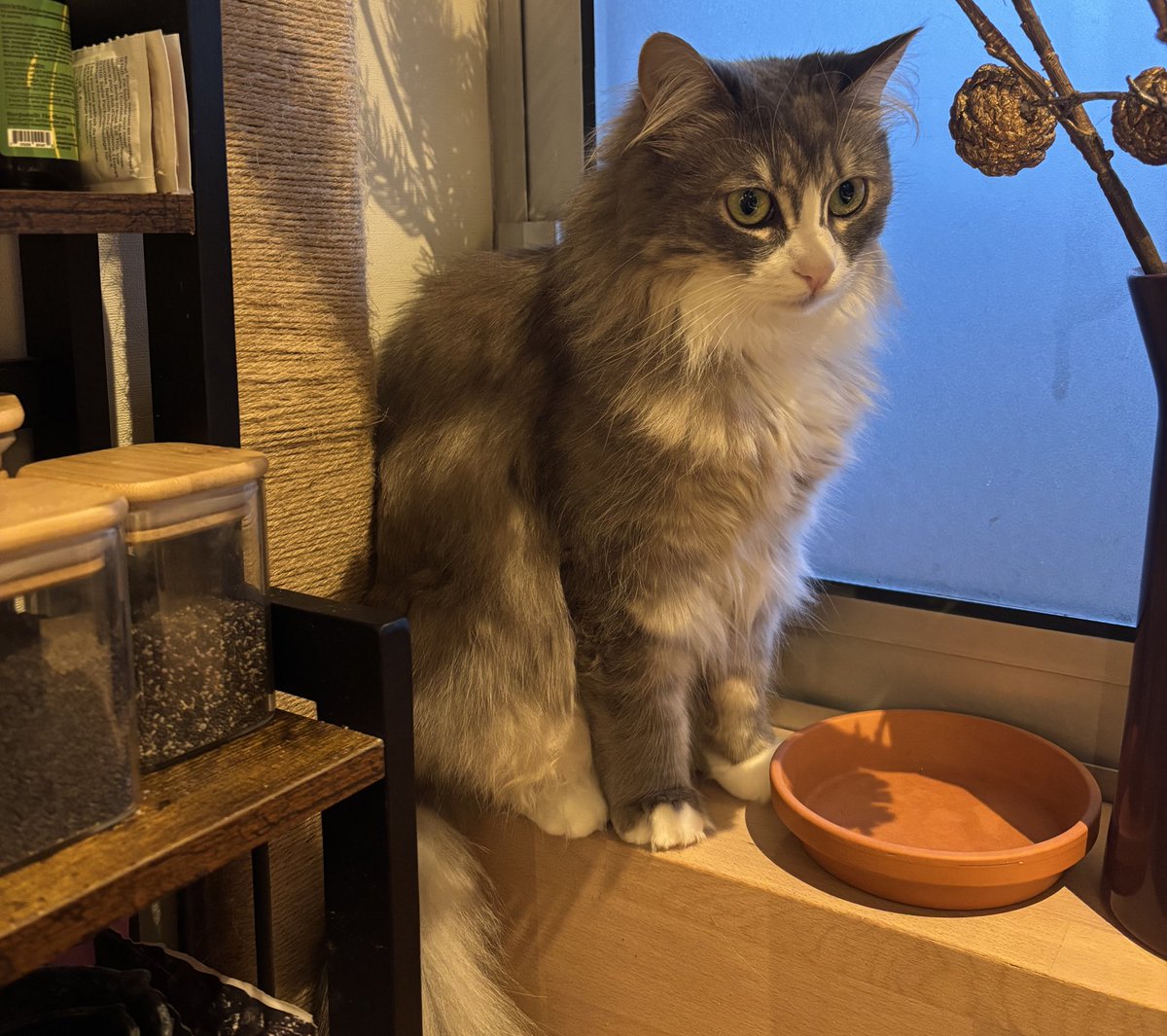 We raised only €87 today. I really don’t know how else to scream for help. We have a long list of 20 requests... We simply can’t do it alone. We need your help. If everyone donates a bit, we can easily cover several requests even today.

send.monobank.ua/jar/9hNCTdkUz2
PayPal