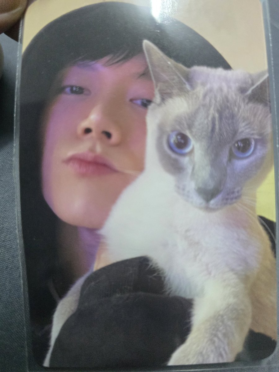 twinlove🏳️‍🌈 tweet media