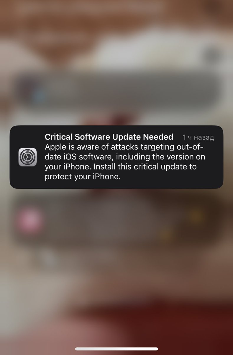 картошчка tweet media
