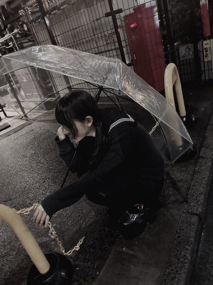 天照【メラシス】 tweet media