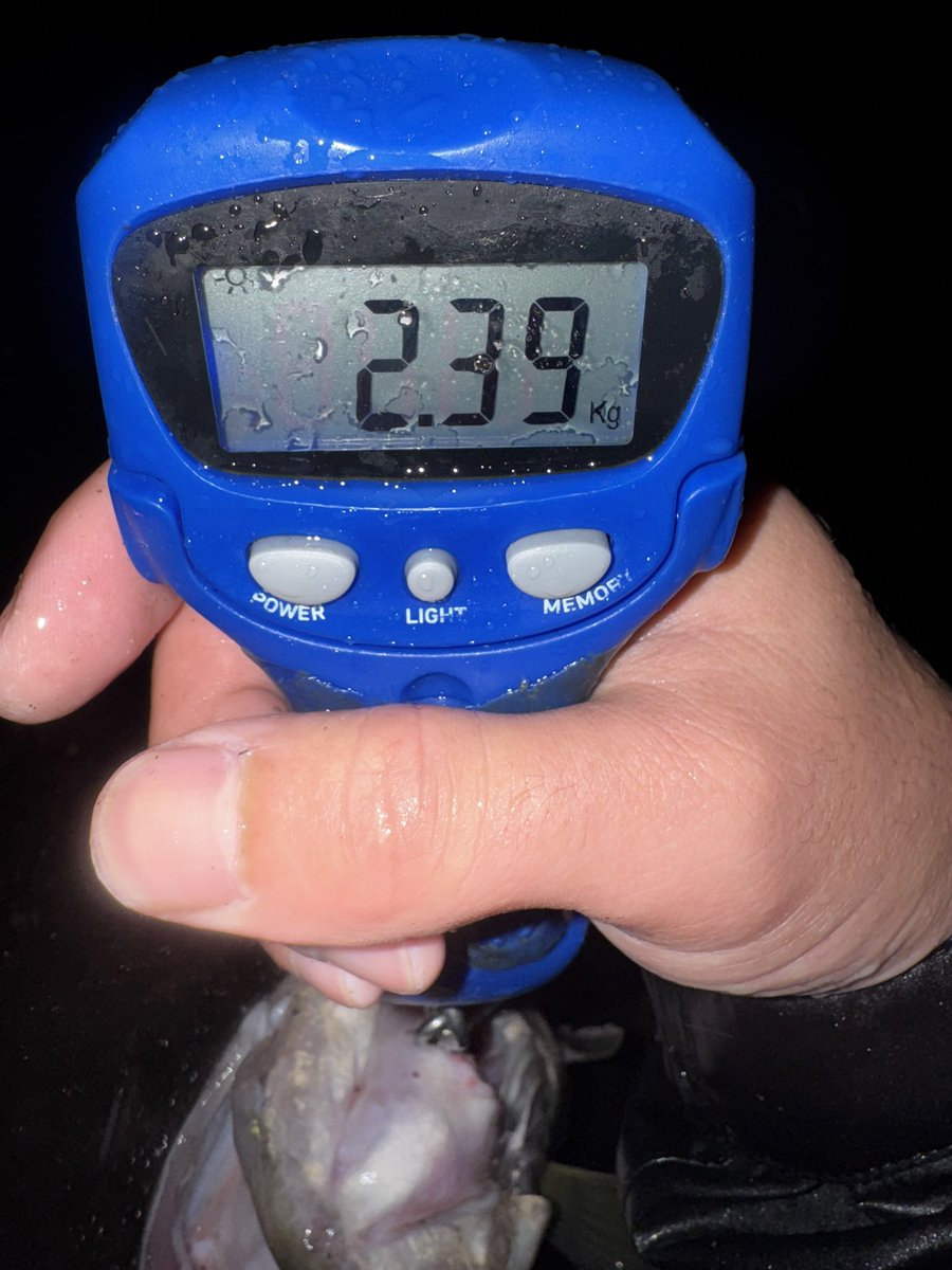 420794's tweet photo. 🔥🎣

50UP👊

#青野ダム
#くんそう寺湖 https://t.co/ZYyOyPO80X