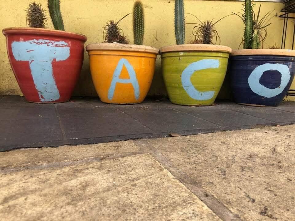 autopocalypse's tweet photo. Gearing up for @realDonaldTrump T.A.C.O. Tuesday.  #tacotuesday #chicken https://t.co/zTXEcIxLjb