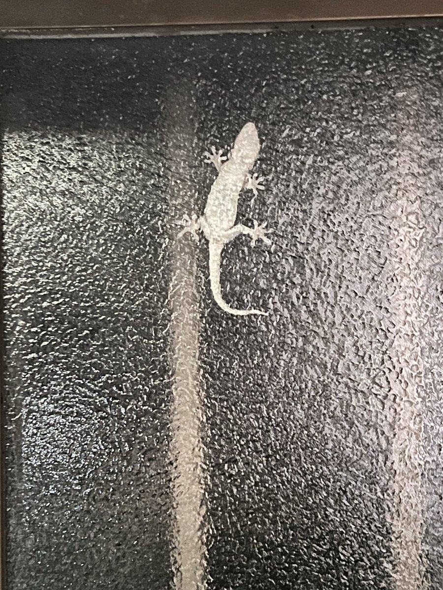 naosuke0105 tweet media