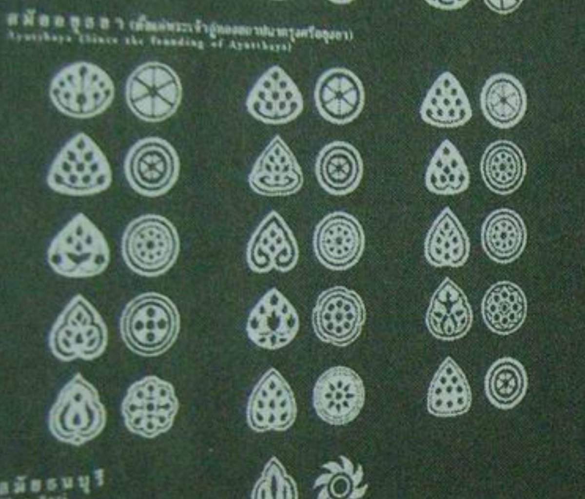 อควาปตินท์ 𝕏 tweet media