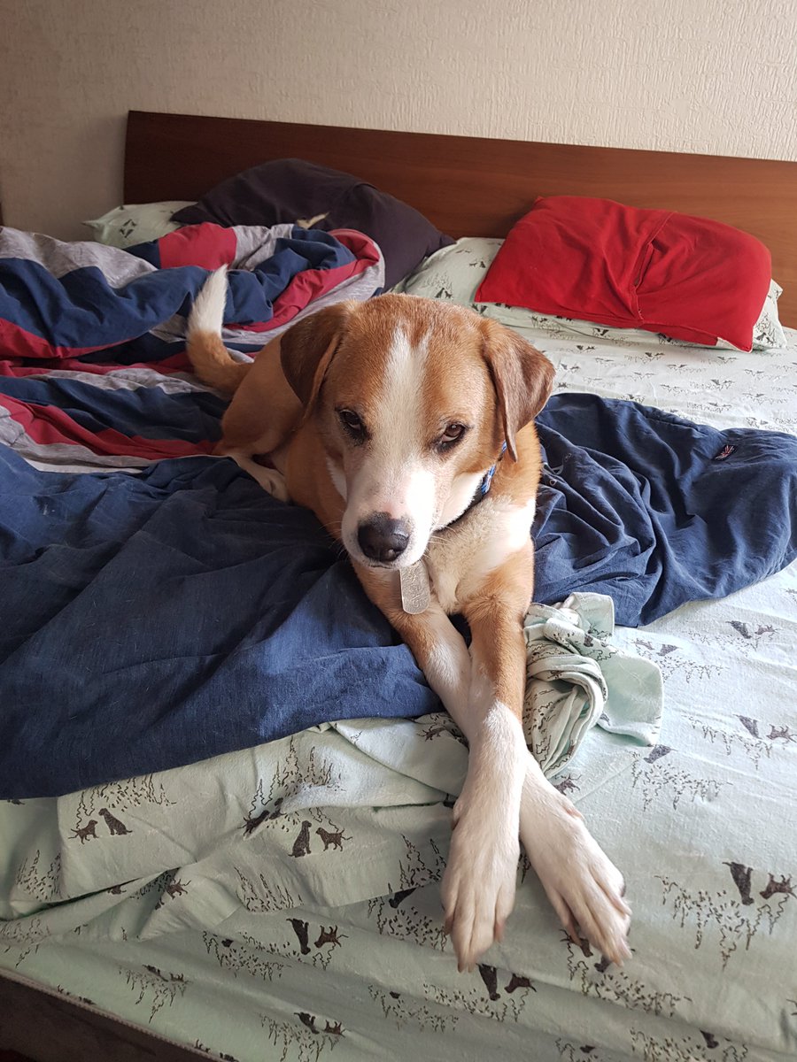 DuqueDeCaixas tweet media