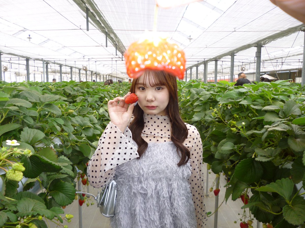 華永 ｜ kae tweet media