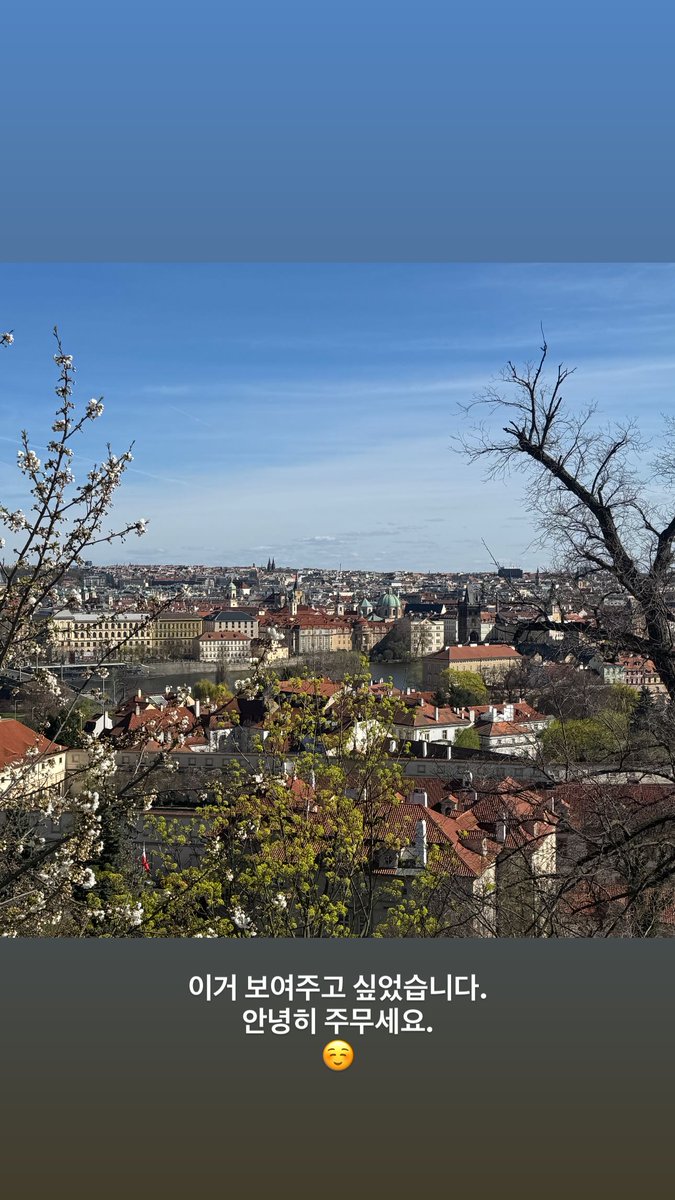 🦊쭌바라기 tweet media