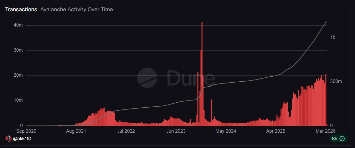 RebornAli3N 🔺 tweet media