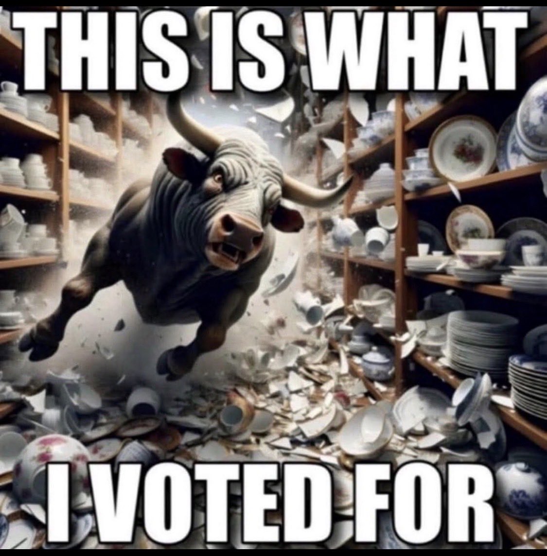 <a href="/gregkellyusa/">Greg Kelly</a>