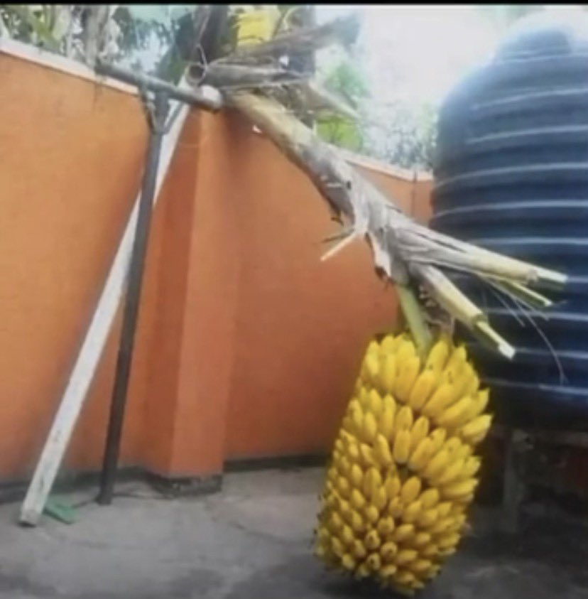 Fx Queen 👑🧑‍🍳🫆 tweet media