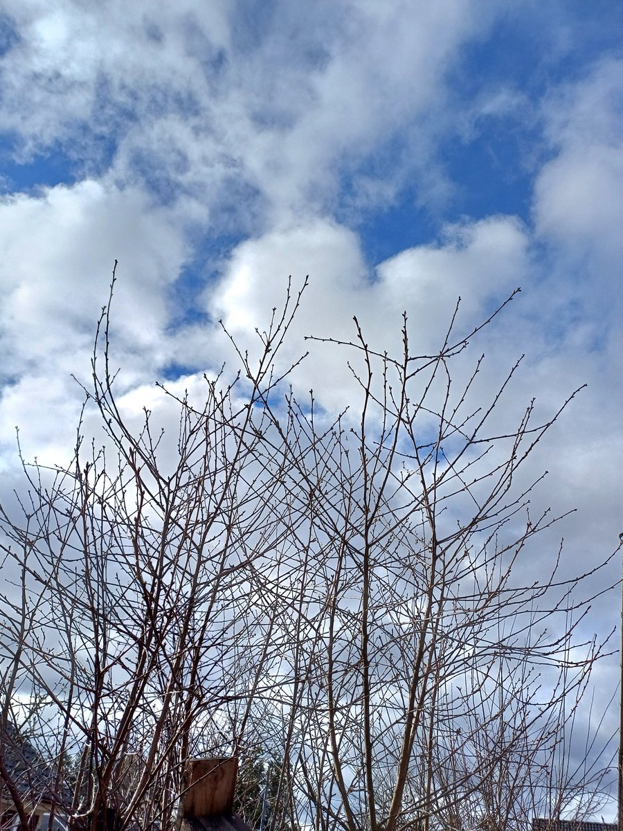 🇸🇪まっかん 北欧ライフ✨ダイエット中 tweet media