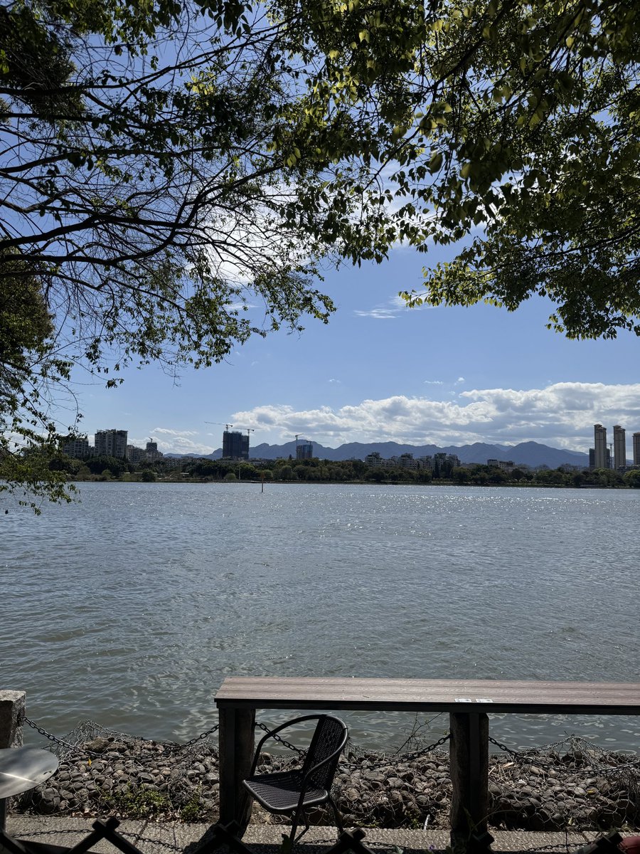 生青， tweet media