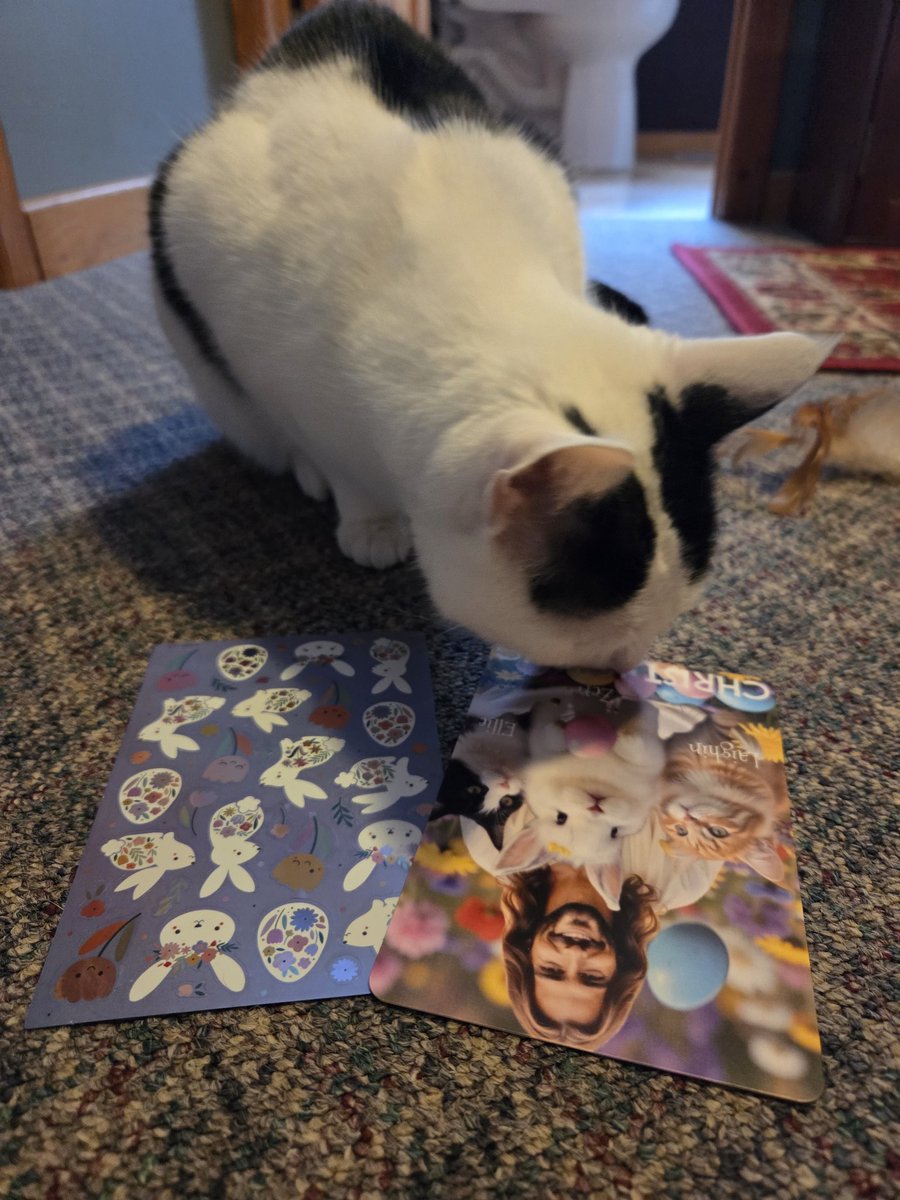 TheSprinklesCat's tweet image. Easter blessings from our furrends, Zennie, Laighin, Ellie, + Momma, @AlienBunny123. Thank mew! We love mew! Mew are the reason for the season! Love the bunny stickers, too! So cute!  Hope mew have a purrfect Monday! #cowcat #CatsOfTwitterX #AdoptDontShop #StaySafeFurrends