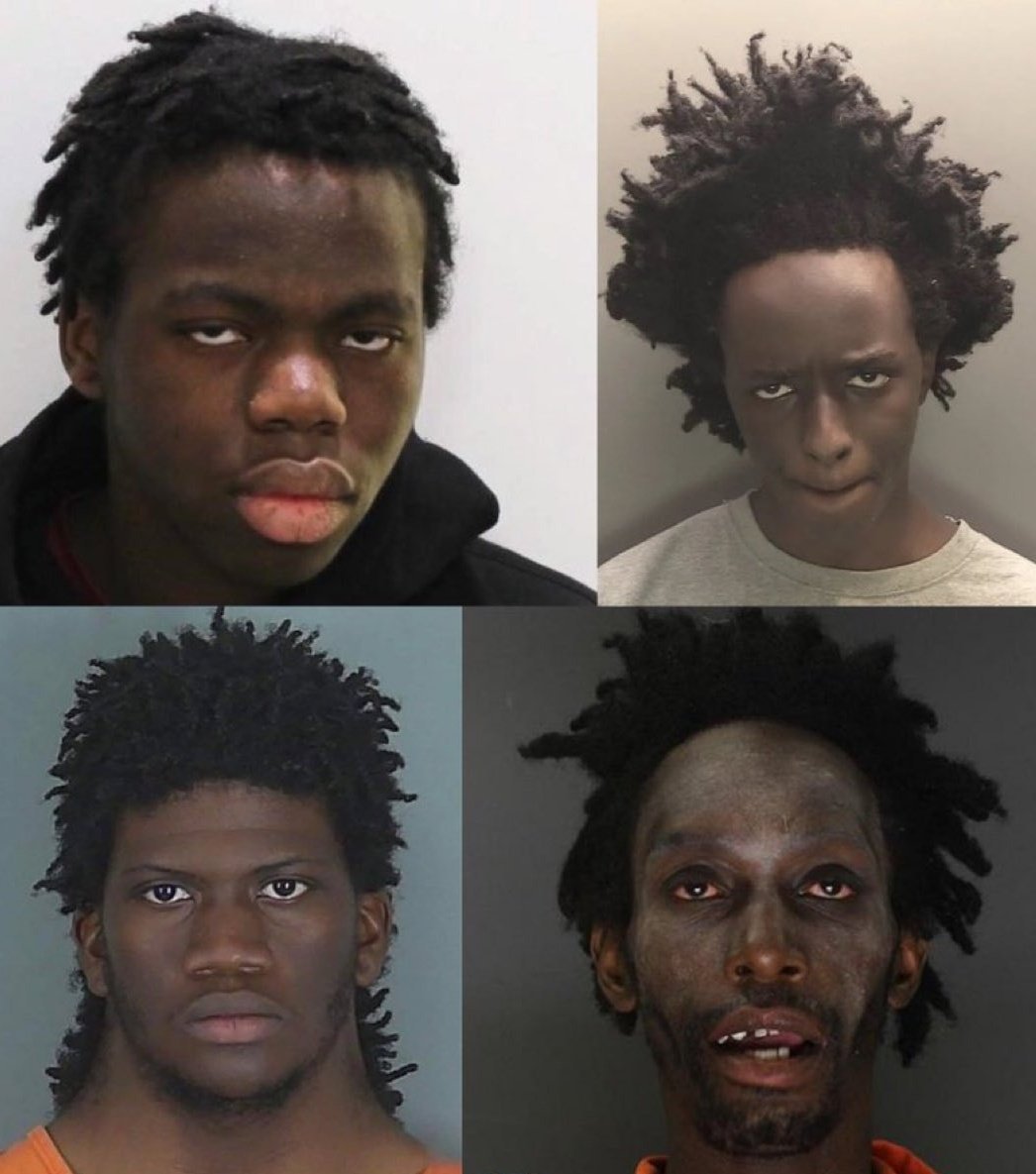 michniqremek tweet media