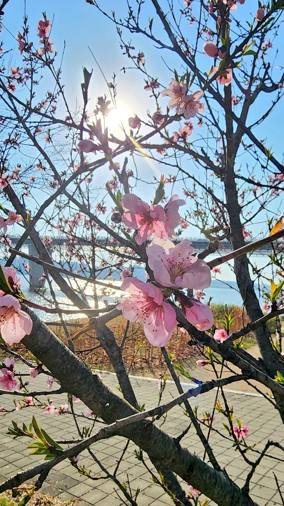 ๋ฌ๋น๐ tweet media