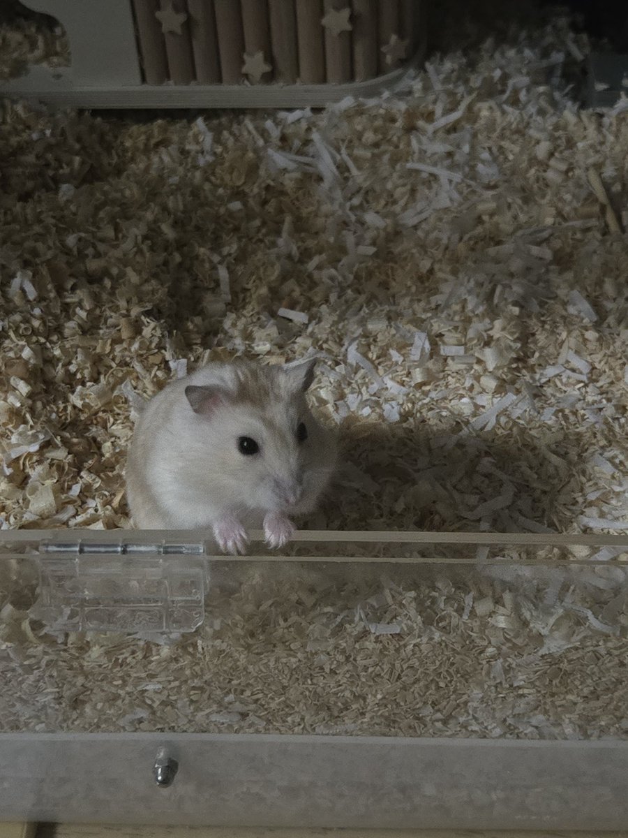 💗💜잉경 tweet media