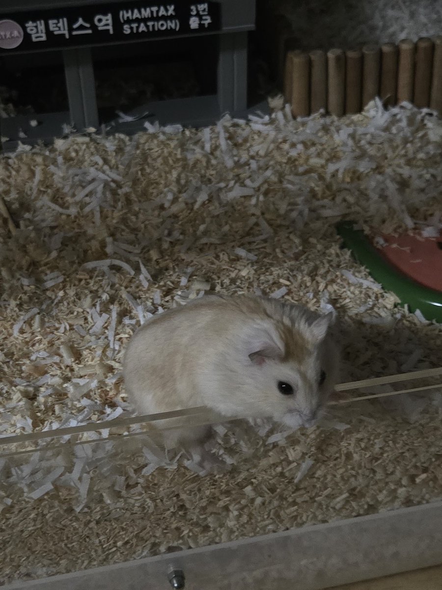 💗💜잉경 tweet media