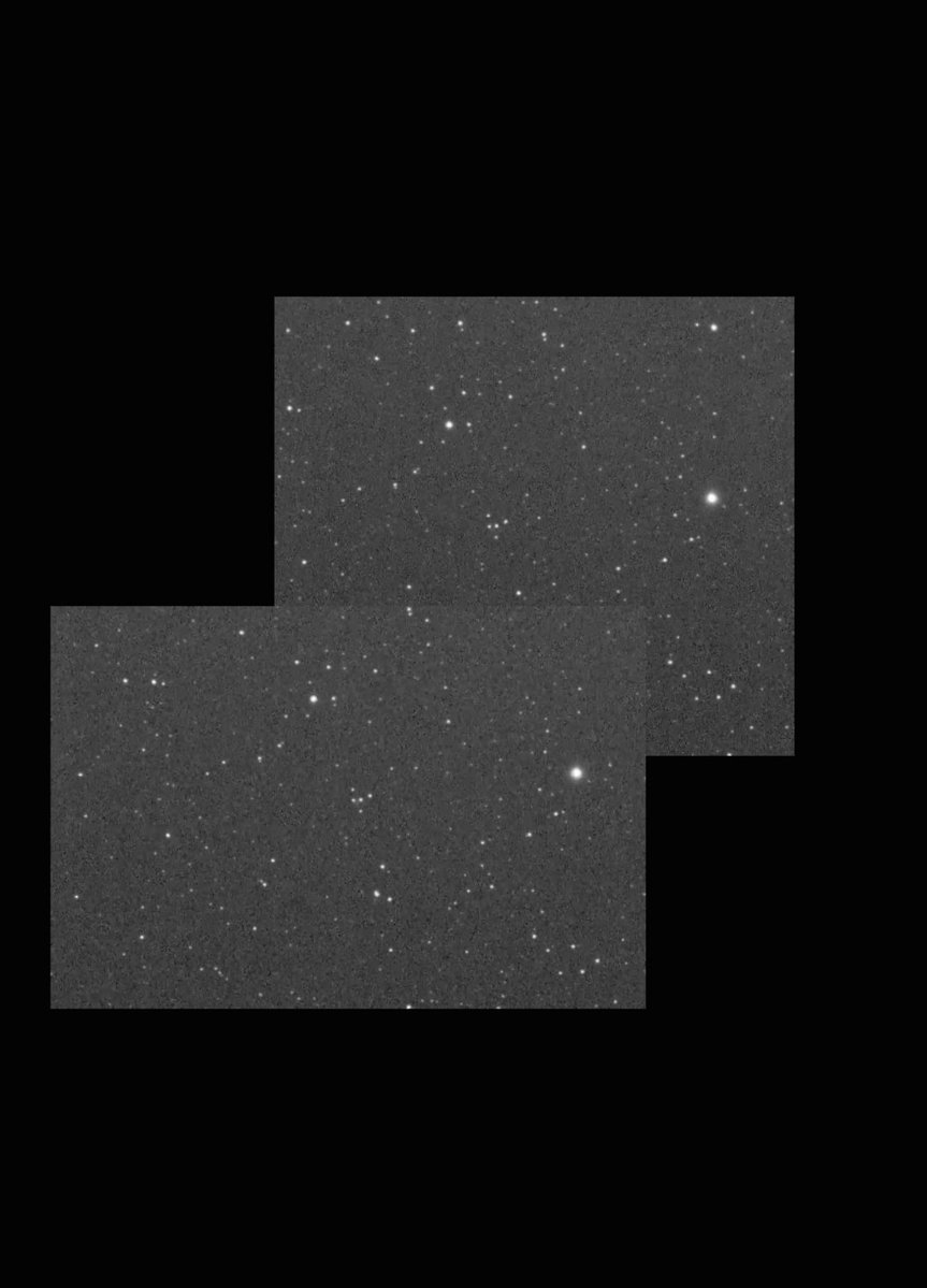 Robin Horam tweet media