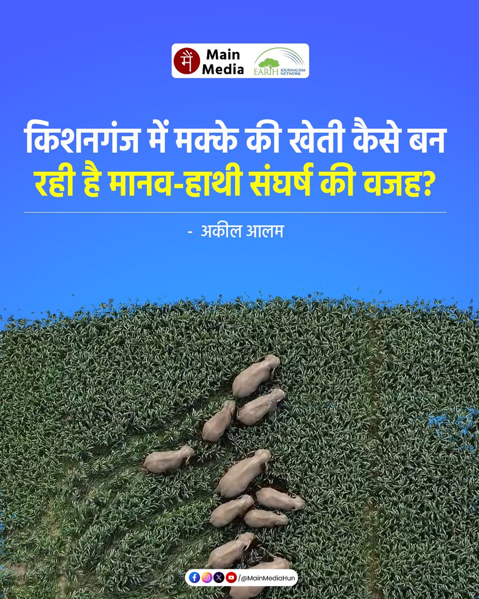 Main Media / मैं मीडिया tweet media