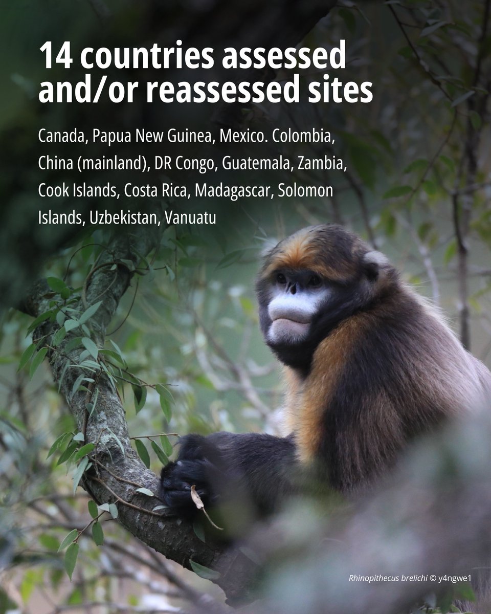 Key Biodiversity Areas tweet media