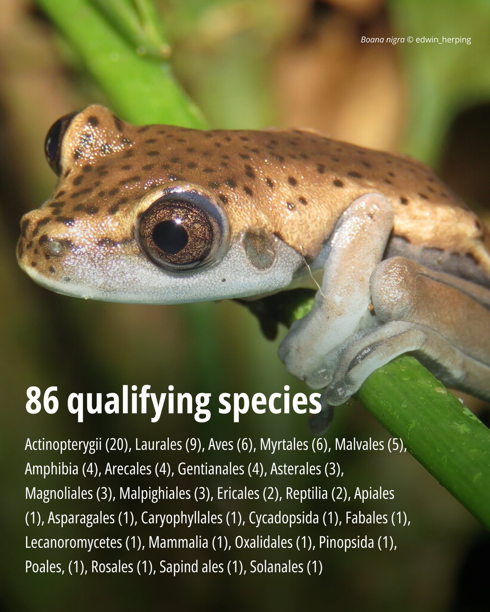 Key Biodiversity Areas tweet media