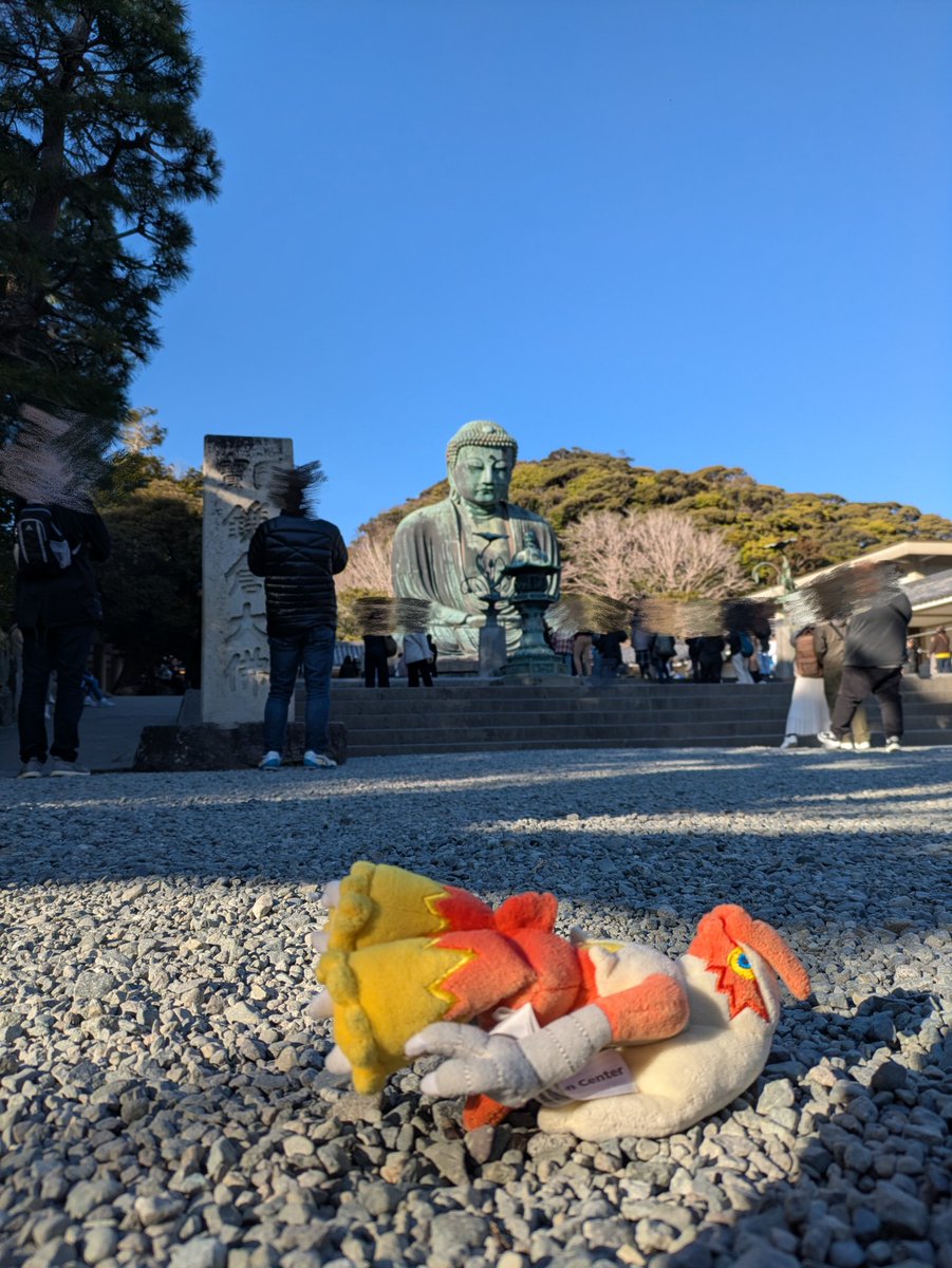 自立しないバシャーモ tweet media