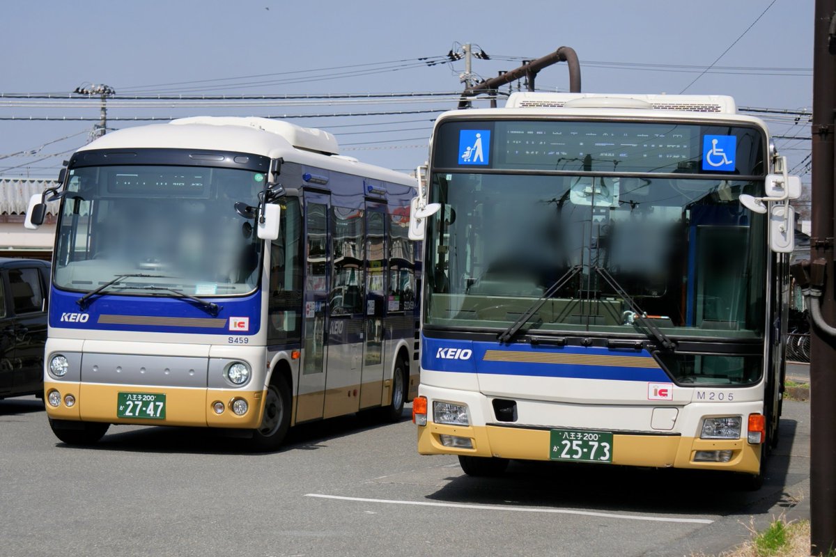 びーばす tweet media